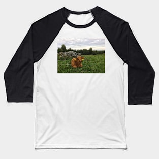 Scottish Highland Cattle Calf 1819 Baseball T-Shirt